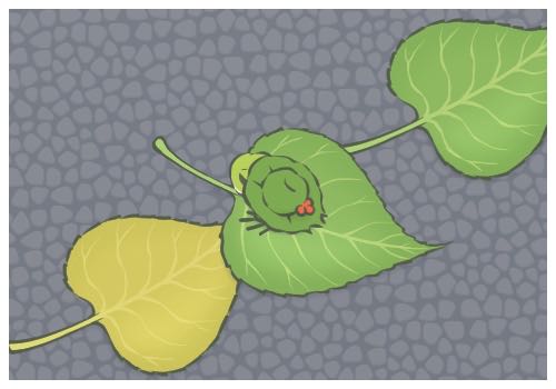 開(kāi)盲盒是什么意思